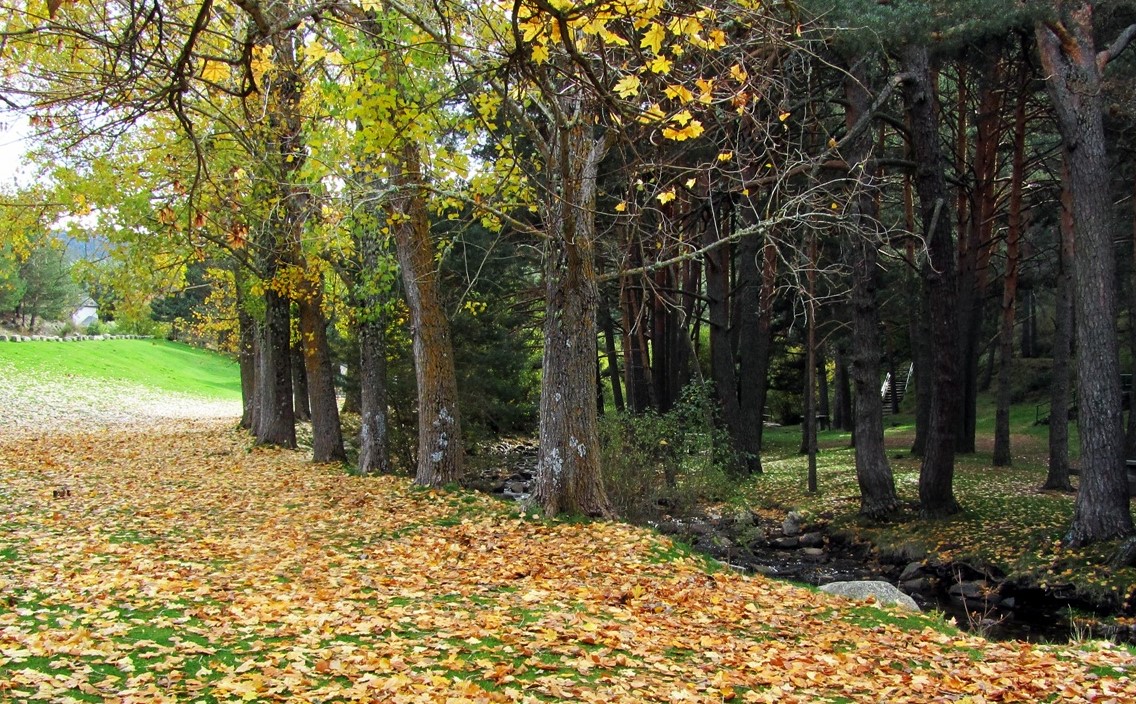 La panera, El espinar. A pocos km de la Casa Paraíso Navas