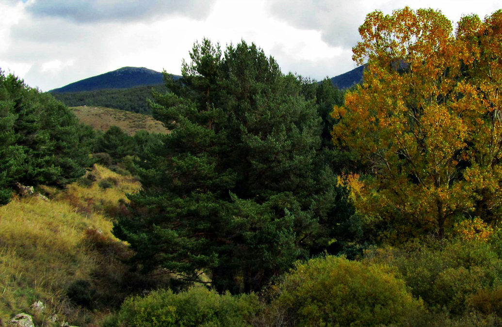 La panera, El espinar, a pocos kilometros de la casa Paraíso Navas